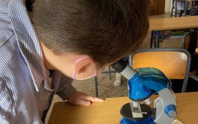 Proyectos 2º de Primaria, 2º trimestre, curso 2021/22
