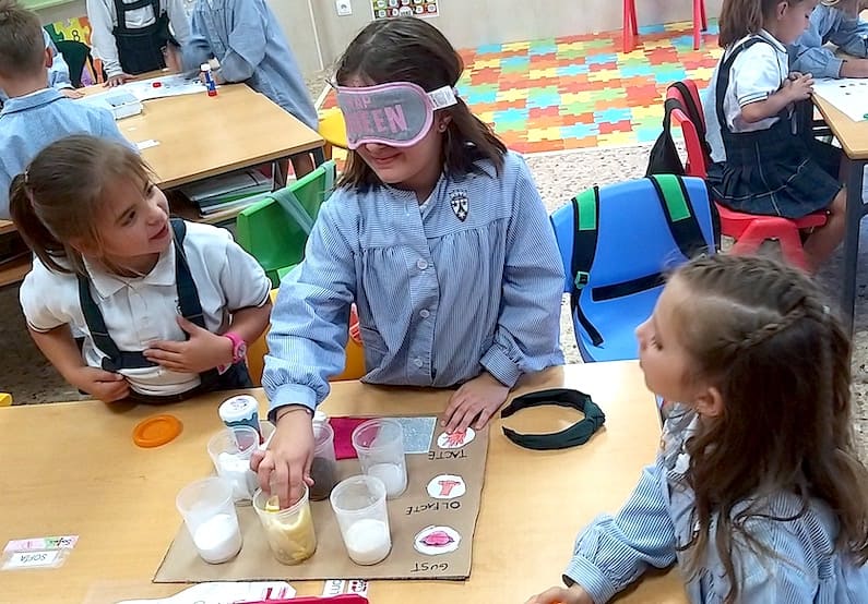 Proyectos 1er trimestre 1º de Educación Primaria, curso 2023/24