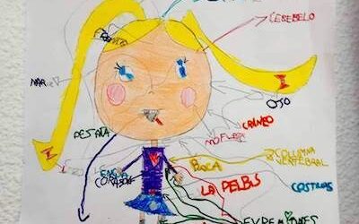 1º Primaria: Proyectos 1er trimestre, curso 2018-19