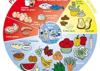 Servicio de comedor: Menús, recogida en septiembre y circular