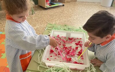 PEQUEÑOS CARMELITAS: «Provocación Situación de Aprendizaje: La Primavera»