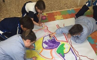 Proyectos 1º de Primaria, 3er trimestre, curso 2018-19