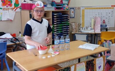 Proyectos del tercer trimestre: 1º y 2º de Primaria. Curso 2024-25