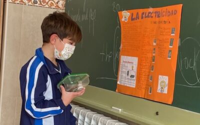 Proyectos 2º Primaria del 1er trimestre, curso 2020/21