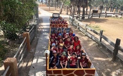 Salida 1º y 2º de Primaria: Safari de Elche