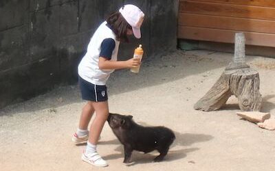 1er ciclo Primaria: Safari Elche, junio 2015